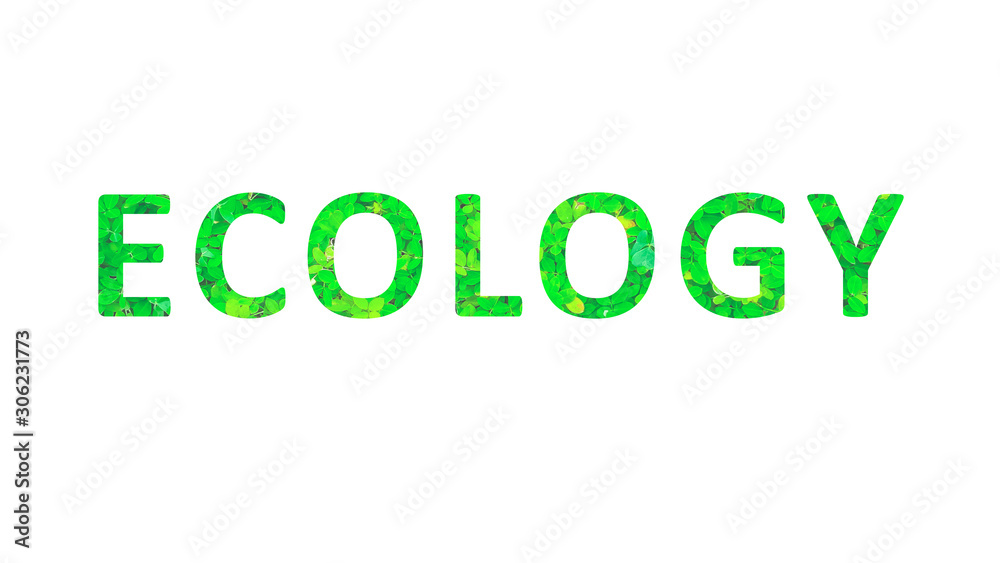 Ecology Concept Typographic Design Ecology Concept Typographic Design