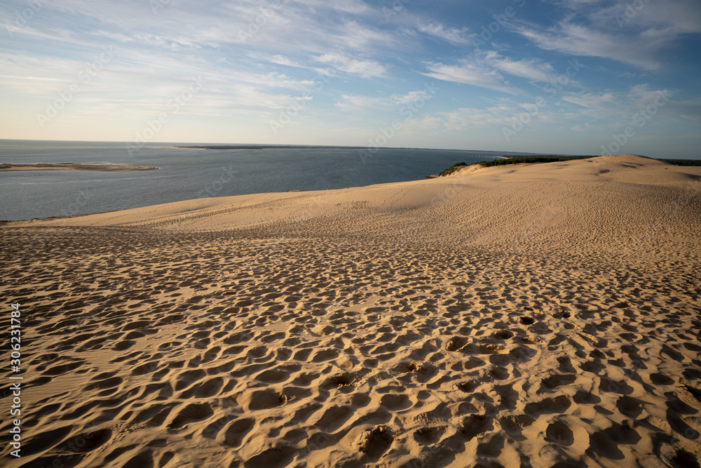 Fototapeta premium schöne Düne in der Sahara