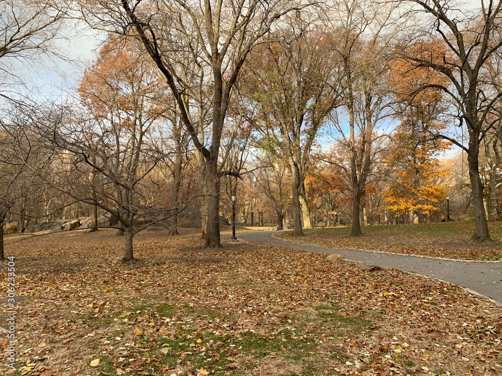 Take in the picturesque landscape of Central Park in thanksgiving day. Central Park is home to many famous attractions spread throughout its 843 acres of landscape. 
