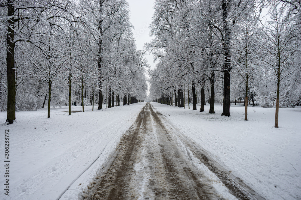 Obraz premium verschneiter Waldweg im tiefsten Winter 
