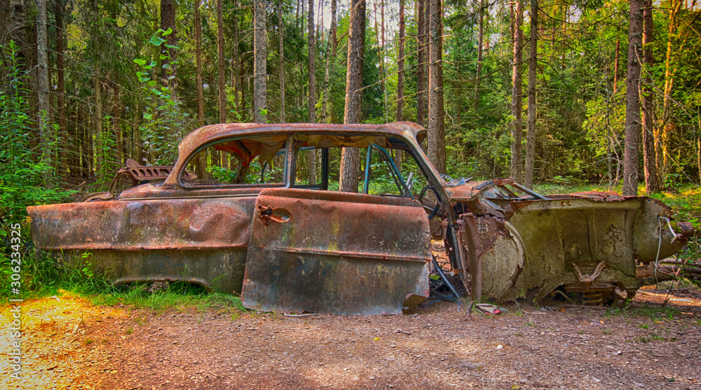 Old car in forest Old car in forest
