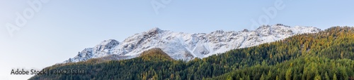 Panoramic view of golden larch forest and blue sky after the first snow fall in autumn close to Poschiavo, indian summer in the swiss alps