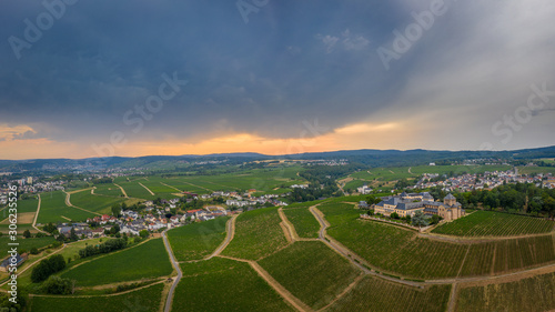 Drone photo from German vineyards