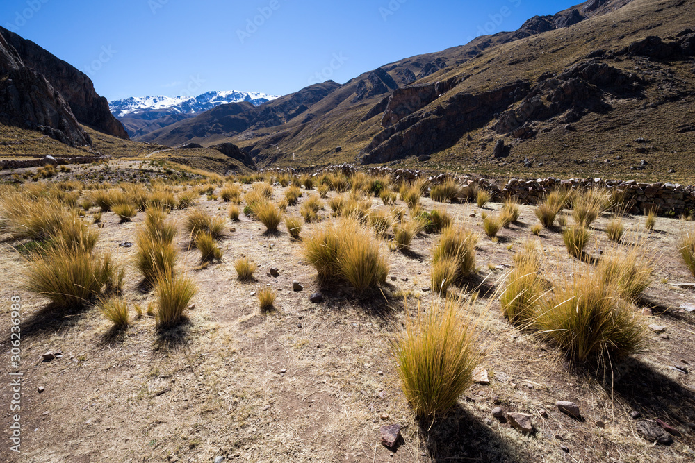 Colca river valley, near the town of Sibayo. Peru.