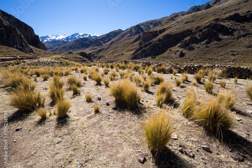 Obraz na płótnie Colca river valley, near the town of Sibayo. Peru. w salonie