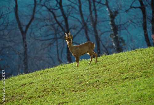 Appennino tosco emiliano  photo