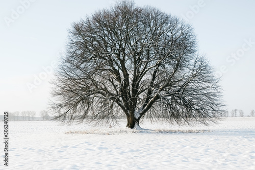 Winterlandschaft