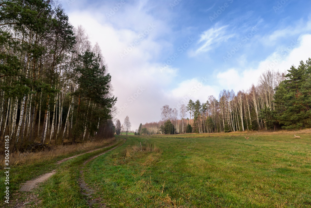 Obraz premium Wzgórza Sokólskie - Podlaska wieś - Krajobraz Podlasia, Polska