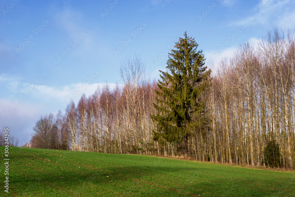 Wzgórza Sokólskie - Podlaska wieś - Krajobraz Podlasia, Polska Wzgórza Sokólskie - Podlaska wieś - Krajobraz Podlasia, Polska