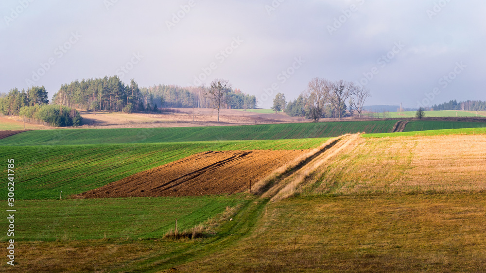 Wzgórza Sokólskie - Podlaska wieś - Krajobraz Podlasia, Polska