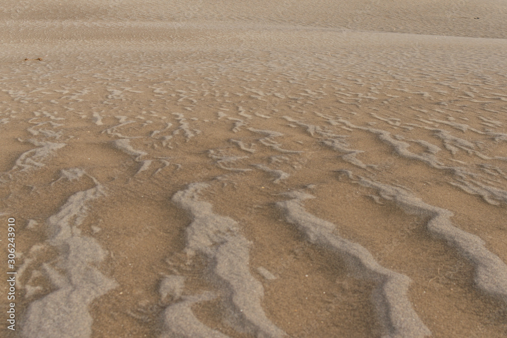 Obraz premium Sand Drift