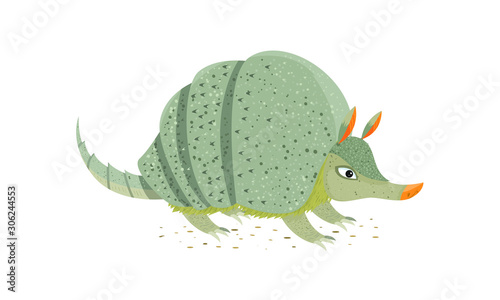 Armadillo