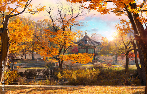 Gyeongbokgung palace, Hyangwonjeong Pavilion, in autumn Seoul,South Korea. photo