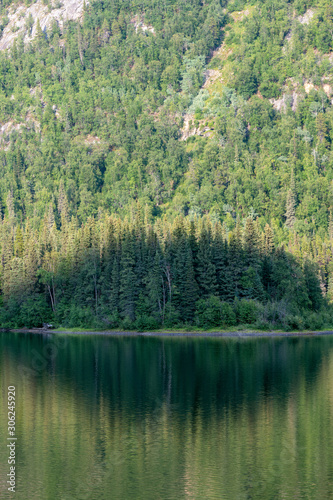 Shadows crossing over trees on the shore of Pinetree Lake near Dease Lake, British Columbia, Canada