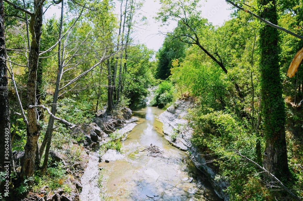 paysage paysage
