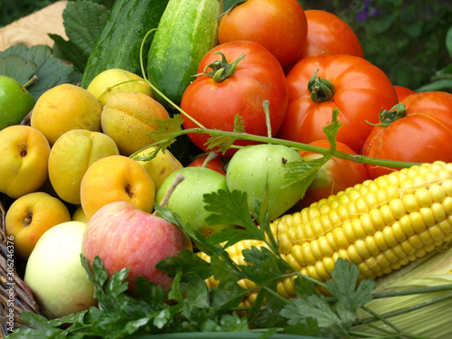 Harvest fruits and vegetables from your garden
