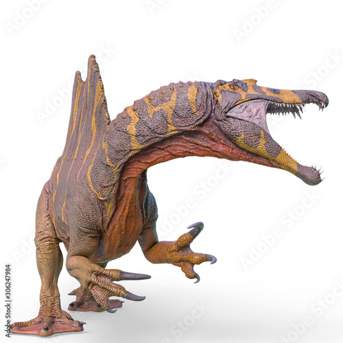 spinosaurus side attack in white background