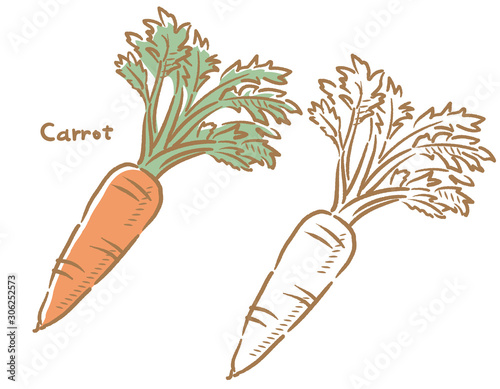 Carrot isolated on white.