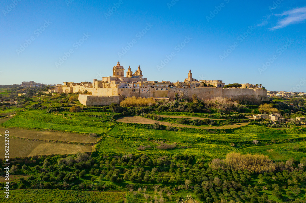 Mdina city - old capital of Malta. Aerial nature landscape, sunny day, blue sly, winter, a lot of green grass, field. Malta island