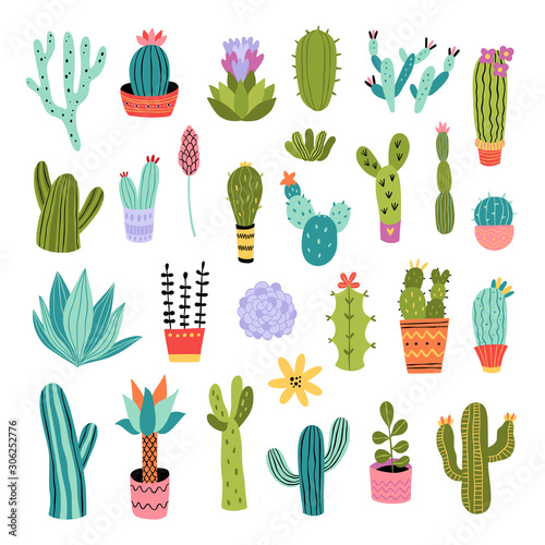 Cactus vector illustrations set. Cute colorful succulents and cacti hand drawn doodles on white background. Botanical collection of houseplants