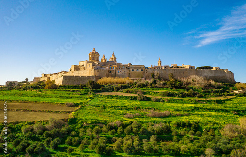 Mdina city - old capital of Malta. Aerial nature landscape  sunny day  blue sly  winter  a lot of green grass. Malta country