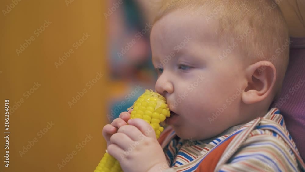 funny little blue eyed boy eats fresh boiled corn on cob sitting with mommy in light room at home extreme close view funny little blue eyed boy eats fresh boiled corn on cob sitting with mommy in light room at home extreme close view