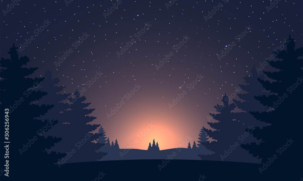 Naklejka premium Night sky landsacape. Forest at night and star on sky.