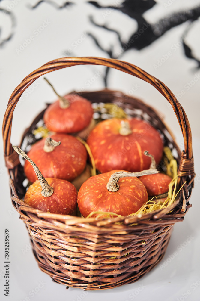 Basket with pumpkins on a white background 