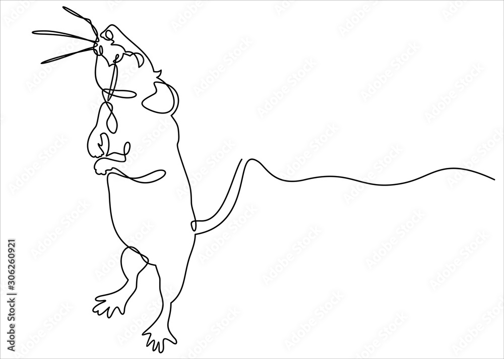 Fototapeta premium Rat continuous line.Rat year 2020.One single line drawing. 2020 year sign.