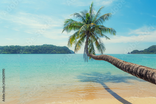 Fototapeta Naklejka Na Ścianę i Meble -  Coconut palm tree over summer beach sea with clear water sea and wave with island in background in Phuket, Thailand. Summer, Travel, Vacation and Holiday concept..