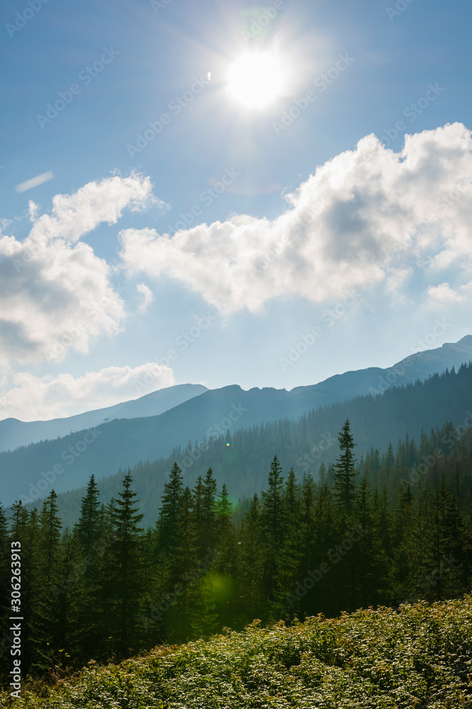 Sunny day in Polish Tatra mountains in summer