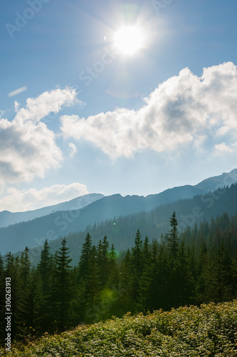 Sunny day in Polish Tatra mountains in summer