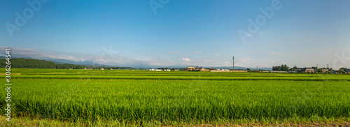 Panoramic view of Rice fields in Tsuruoka, Yamagata Prefecture, Japan photo