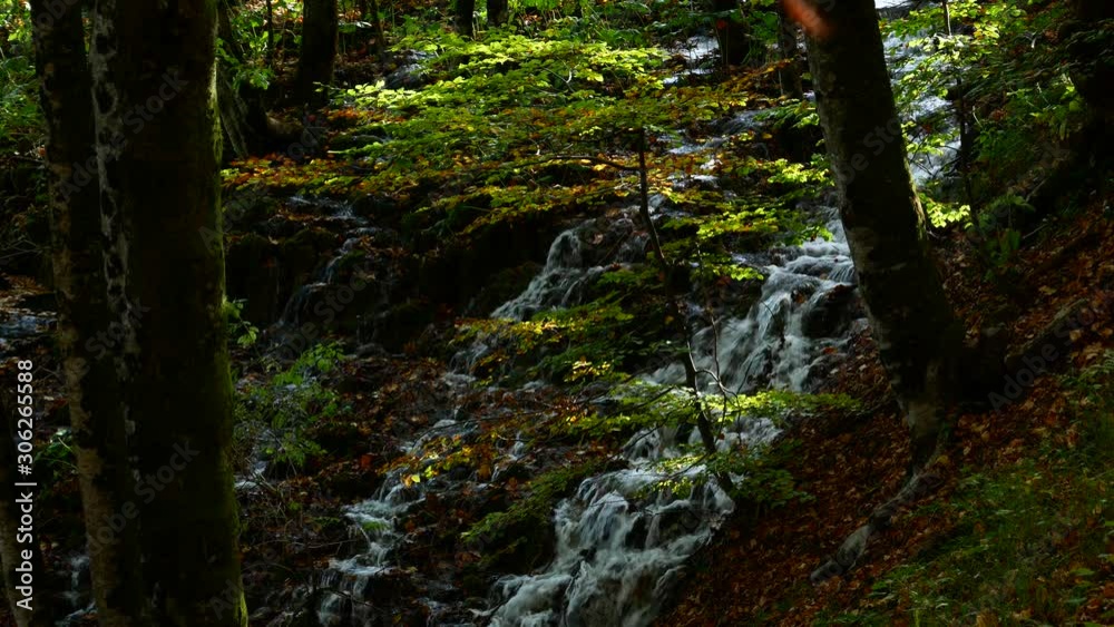 Water Stream Flowing in an Autumn Forest Plitvice Lakes National Park Croatia Water Stream Flowing in an Autumn Forest Plitvice Lakes National Park Croatia