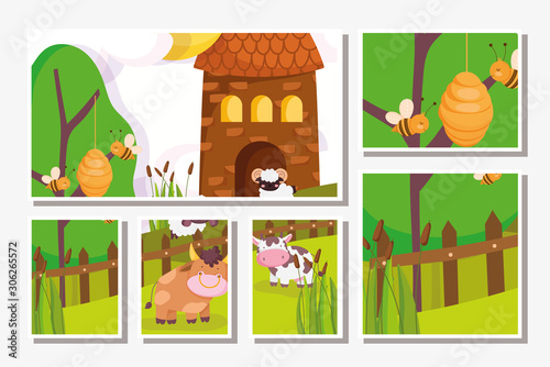 farm animals bull cow bees barn wooden fence grass cards