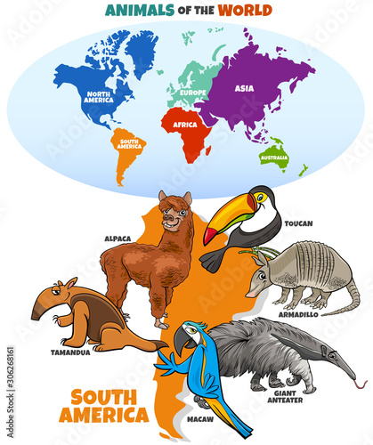 Fototapeta Naklejka Na Ścianę i Meble -  educational illustration of cartoon South American animals