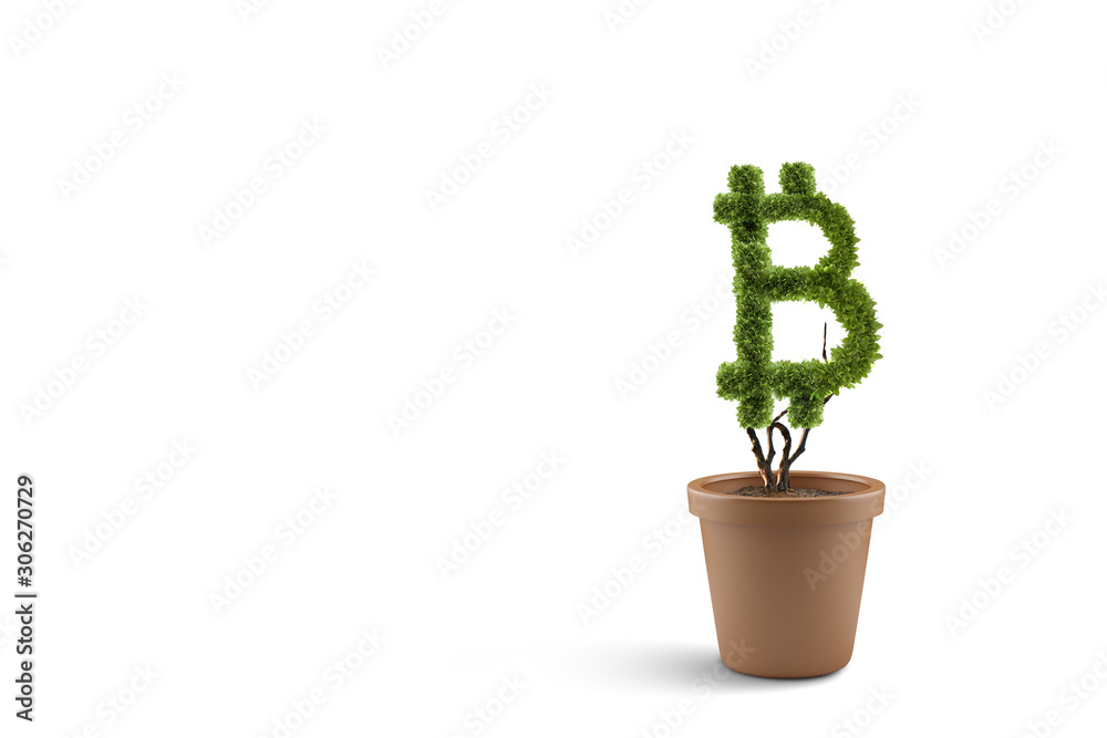 Green bitcoin plant. Mixed media Green bitcoin plant. Mixed media