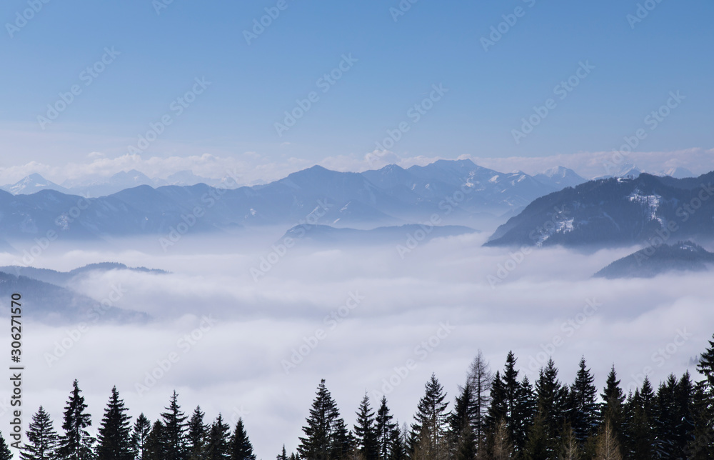 Winter landscape with snow covered trees