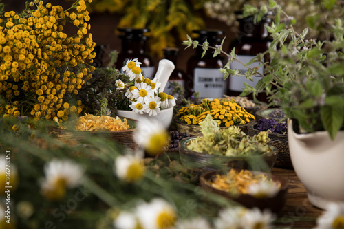 Herbs medicine and vintage wooden background