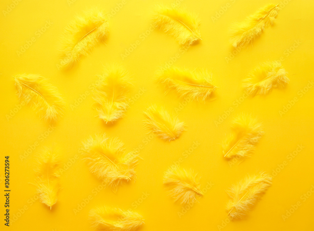 Obraz premium Yellow feathers on yellow background.