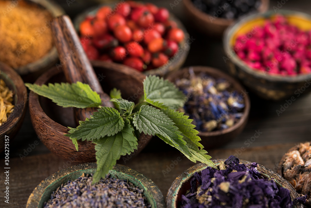 Fototapeta premium Natural remedy,Herbal medicine and wooden table background