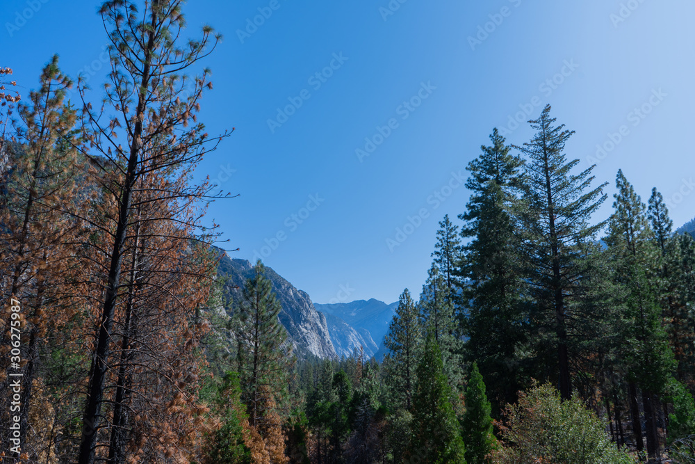 beautiful mountains landscape in Kings Canyon National Park