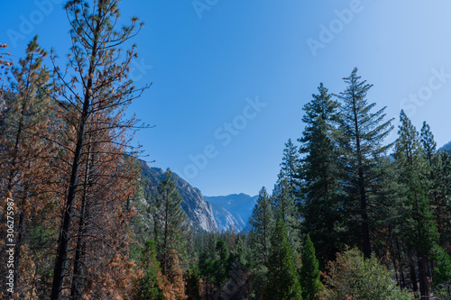 beautiful mountains landscape in Kings Canyon National Park