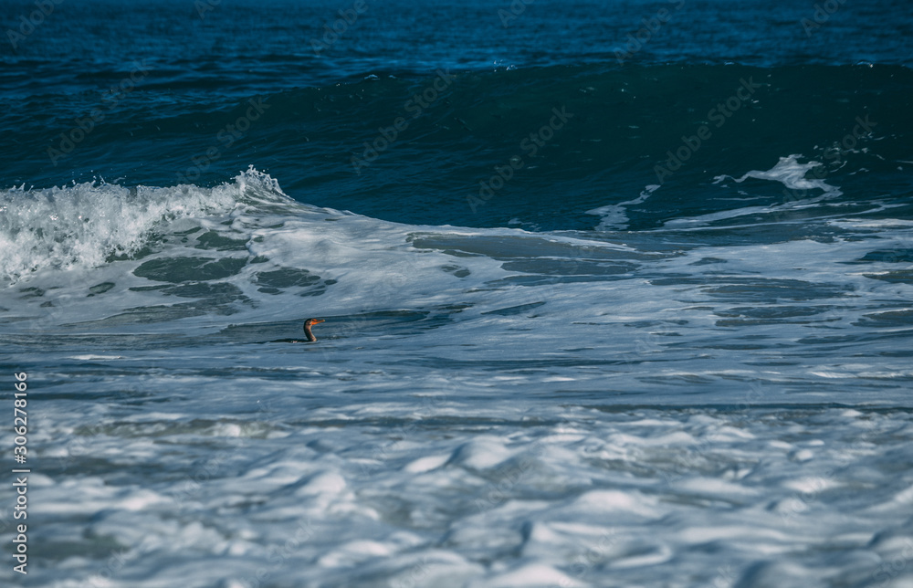 Fototapeta premium Ocean