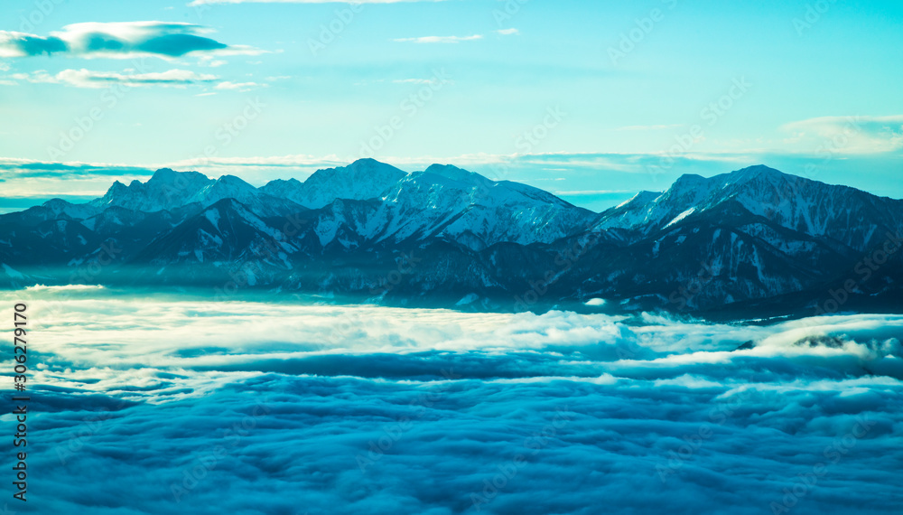 Winter trees in mountains, nature landscape Winter trees in mountains, nature landscape