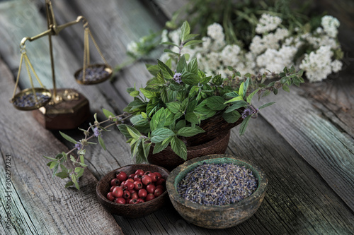 Herbs medicine and vintage wooden background