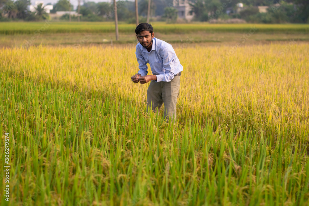 Portrait of young Indian Farmer wearing formal dress in green paddy field.