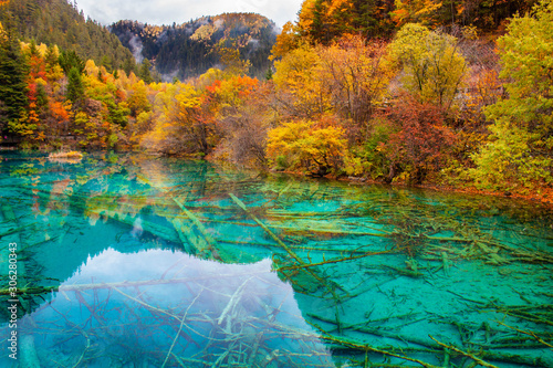 Canvas-taulu Ancient fallen tree trunks is criss-crossed at the bottom of Five Flower Lake, Jiuzhaigou National Park, Sichuan,China