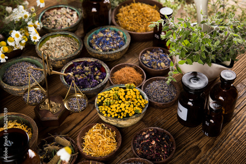 Obraz na plátně Natural remedy, healing herbs background