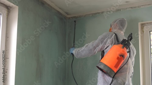 Black mold and mildew remediation at House. A Expert Man Cleaning and  Removing  Mold From Wall Using Chemical Pesticides Spray photo